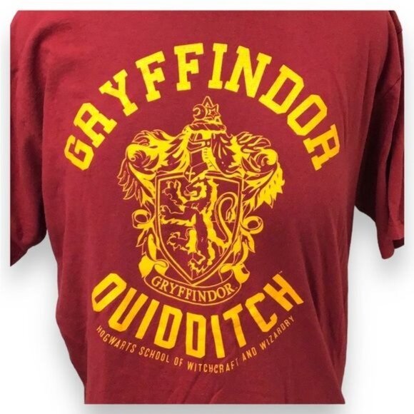 Harry Potter Adult Short Sleeve Graphic Tee  “Gryffindor Quidditch”, size XL - Picture 2 of 5
